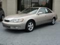 Cashmere Beige Metallic - ES 300 Photo No. 7