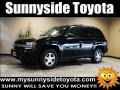 Black - TrailBlazer LS 4x4 Photo No. 1