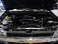 Black - TrailBlazer LS 4x4 Photo No. 18