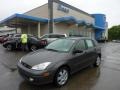 Liquid Grey Metallic 2002 Ford Focus ZX5 Hatchback