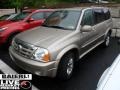 Cool Beige Metallic - XL7 LX 4WD Photo No. 3