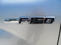 2011 Ingot Silver Metallic Ford F150 Texas Edition SuperCrew  photo #13