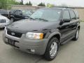 2002 Black Clearcoat Ford Escape XLT V6 4WD  photo #1