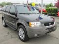 2002 Black Clearcoat Ford Escape XLT V6 4WD  photo #23