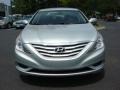 Radiant Silver - Sonata GLS Photo No. 9