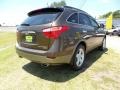 2011 Sahara Bronze Metallic Hyundai Veracruz Limited  photo #3