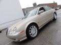 Topaz Metallic - S-Type 4.0 Photo No. 2
