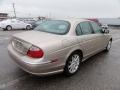Topaz Metallic - S-Type 4.0 Photo No. 8