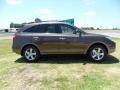 Sahara Bronze Metallic - Veracruz Limited Photo No. 2