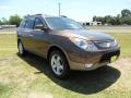 2011 Sahara Bronze Metallic Hyundai Veracruz Limited  photo #1