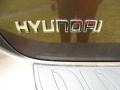 2011 Sahara Bronze Metallic Hyundai Veracruz Limited  photo #15