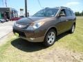 2011 Sahara Bronze Metallic Hyundai Veracruz Limited  photo #7