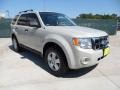 Silver Metallic - Escape XLT Photo No. 1