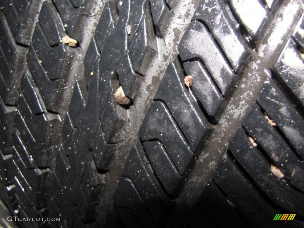 2006 Grand Marquis LS - Silver Birch Metallic / Medium Light Stone photo #20