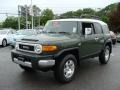 Army Green - FJ Cruiser 4WD Photo No. 3