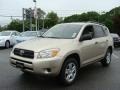 Savannah Metallic - RAV4 4WD Photo No. 3