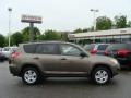 Pyrite Mica - RAV4 4WD Photo No. 1
