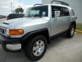 Titanium Metallic - FJ Cruiser 4WD Photo No. 3
