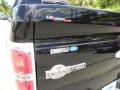 2009 Black Ford F150 King Ranch SuperCrew  photo #20