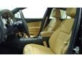 Brilliant Black Crystal Pearl - Charger Rallye Plus Photo No. 20