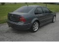 2005 Platinum Grey Metallic Volkswagen Jetta GLI Sedan  photo #3