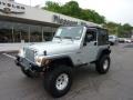 2004 Bright Silver Metallic Jeep Wrangler X 4x4  photo #1