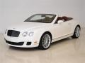 Glacier White 2009 Bentley Continental GTC Speed Exterior