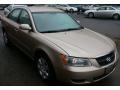 Golden Beige - Sonata GLS Photo No. 12