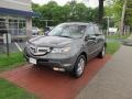 Nimbus Gray Metallic - MDX Technology Photo No. 1
