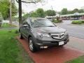 Nimbus Gray Metallic - MDX Technology Photo No. 3