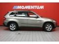 Platinum Bronze Metallic - X5 xDrive30i Photo No. 4