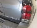 2004 Dark Gray Metallic Chevrolet TrailBlazer LS 4x4  photo #14