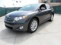 Magnetic Gray Metallic - Venza I4 Photo No. 7