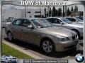 2008 Platinum Bronze Metallic BMW 5 Series 528i Sedan  photo #1