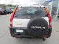 Taffeta White - CR-V EX 4WD Photo No. 5