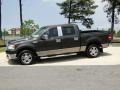 2006 Dark Stone Metallic Ford F150 XLT SuperCrew  photo #9