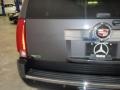 2010 Galaxy Gray Cadillac Escalade Premium AWD  photo #8