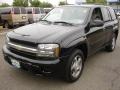 Black - TrailBlazer LS 4x4 Photo No. 1