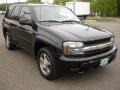 Black - TrailBlazer LS 4x4 Photo No. 3