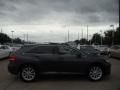 2010 Magnetic Gray Metallic Toyota Venza I4  photo #3