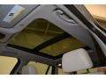 Oyster Nevada Leather Sunroof Photo for 2011 BMW X3 #49491459