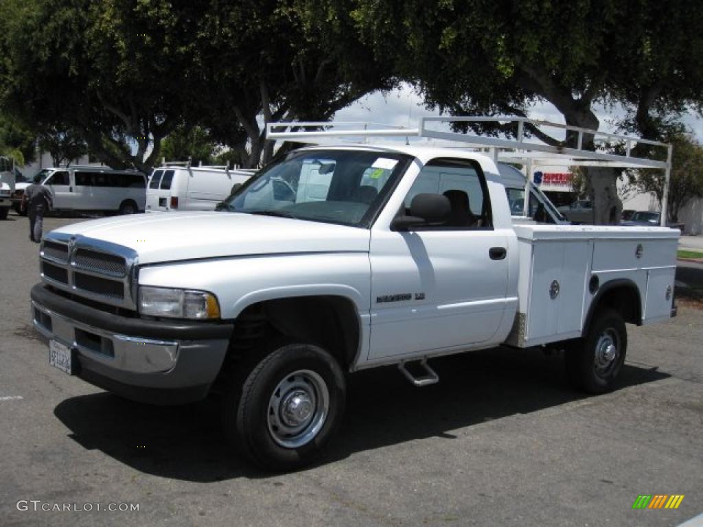 2001 Ram 2500 ST Regular Cab 4x4 - Bright White / Agate photo #3