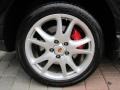 2009 Porsche Cayenne Turbo Wheel and Tire Photo