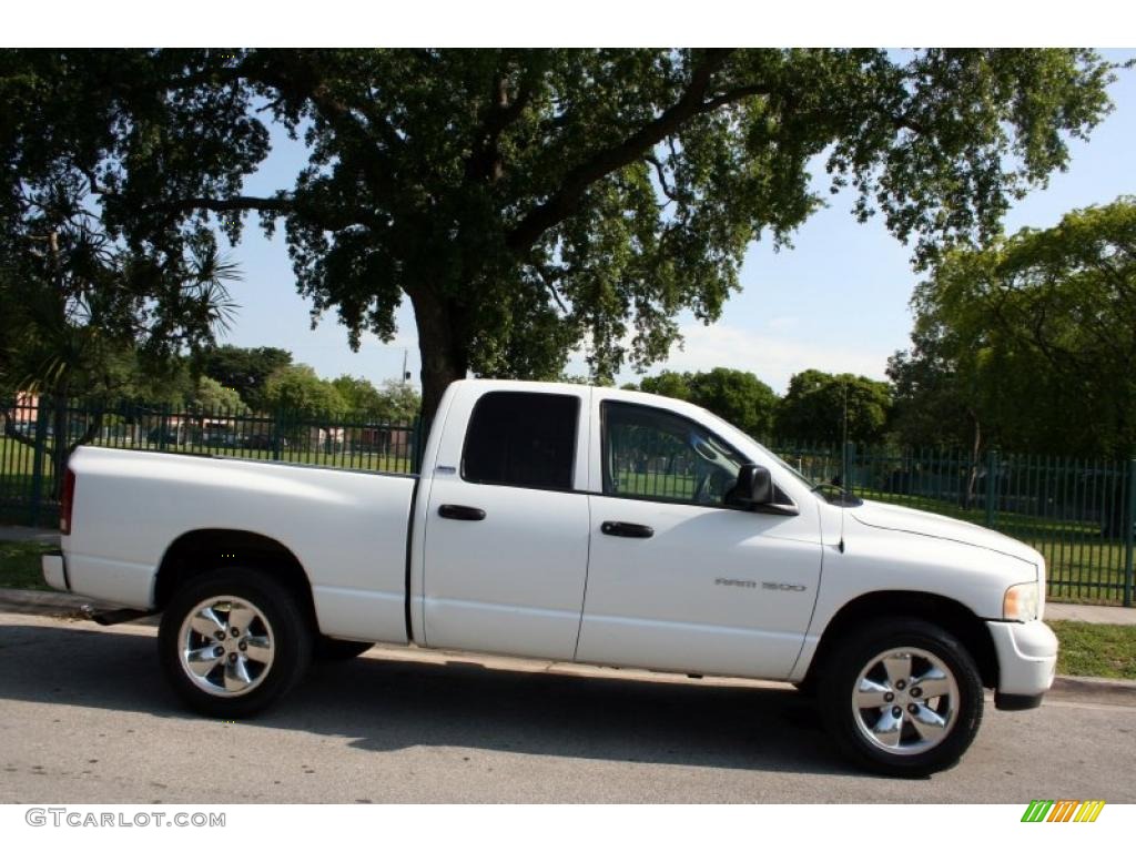 2002 Ram 1500 Sport Quad Cab 4x4 - Bright White / Dark Slate Gray photo #10