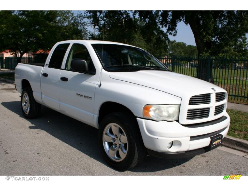 2002 Ram 1500 Sport Quad Cab 4x4 - Bright White / Dark Slate Gray photo #14