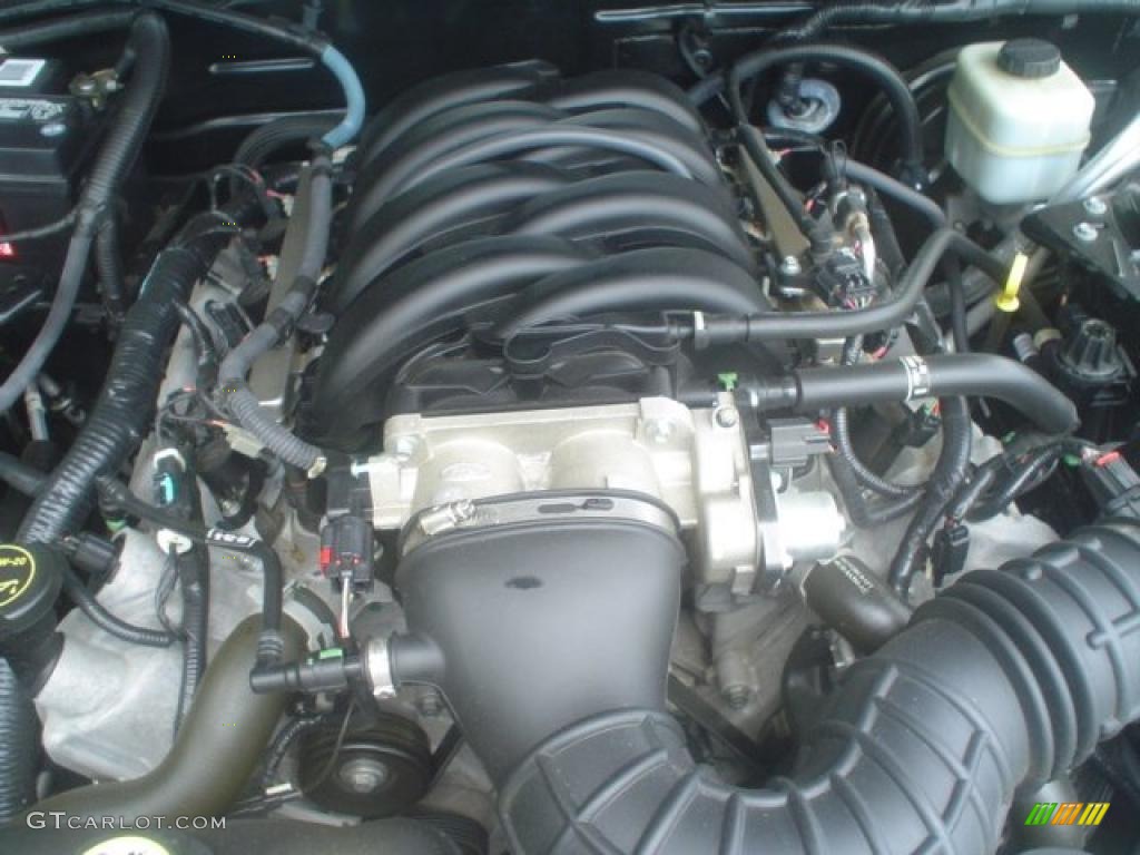 2006 Ford Mustang GT Premium Coupe 4.6 Liter SOHC 24-Valve VVT V8 Engine Photo #49510680