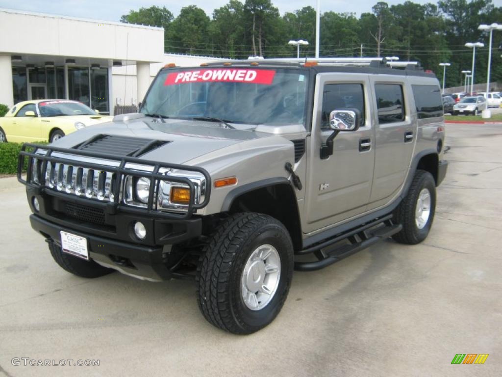 2004 H2 SUV - Pewter Metallic / Wheat photo #1