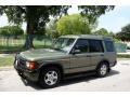 2001 Veinna Green Land Rover Discovery SE7  photo #2