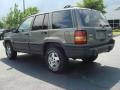 1995 Light Drift Wood Metallic Jeep Grand Cherokee Laredo 4x4  photo #4