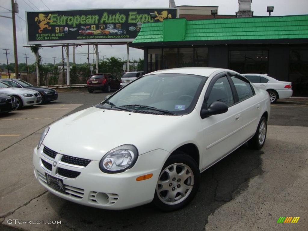 2003 Neon SXT - Stone White / Dark Slate Gray photo #1